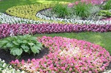 Flower beds, flower design and landscaping in Austin, TX.