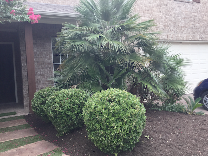 Top-rated landscapers in Austin, TX.